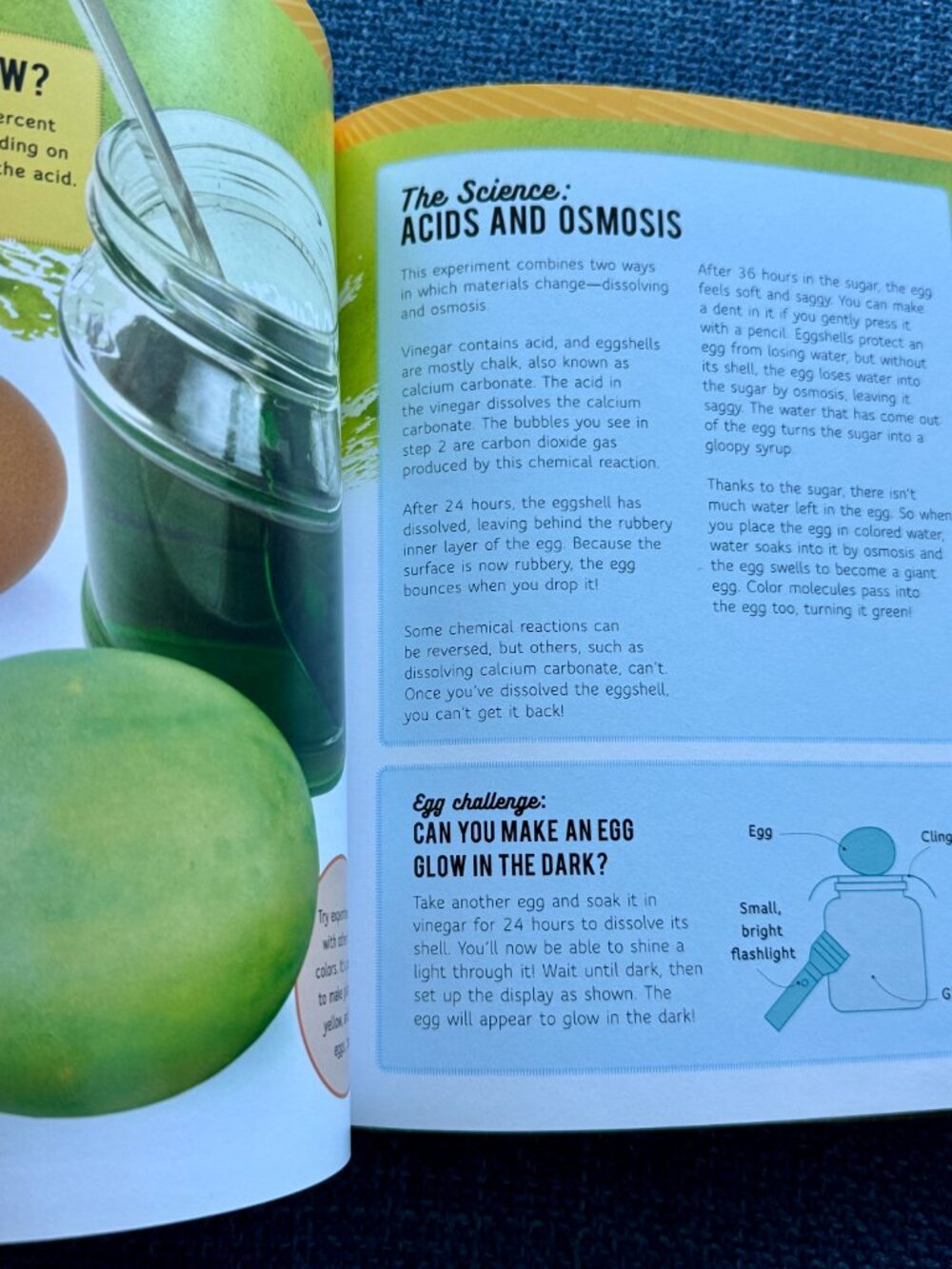Experiment with Kitchen Science + Fun Science Experiments Books - Picture 6 of 14